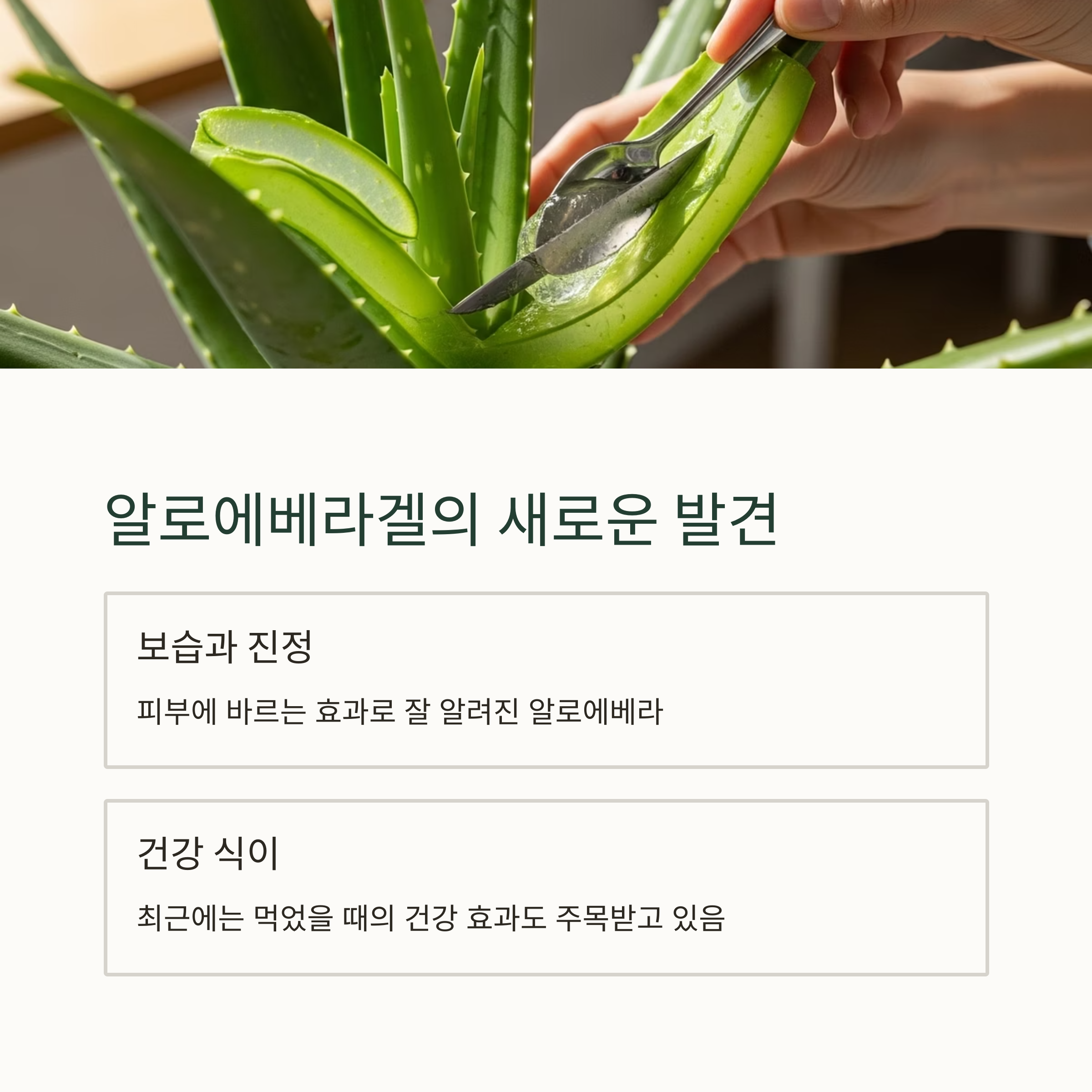 알로에베라겔의 새로운 발견