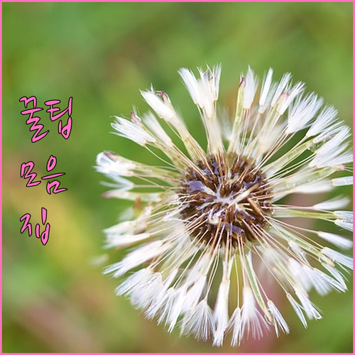 대구 중구 남산동 대형폐기물 인터넷 ..