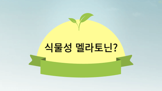 멜라토닌-효능-부작용-복용법