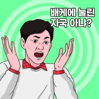 탄력 회복