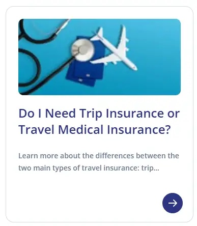 출국 후 여행자보험 가입 방법 및 추천 보험사 SafetyWing