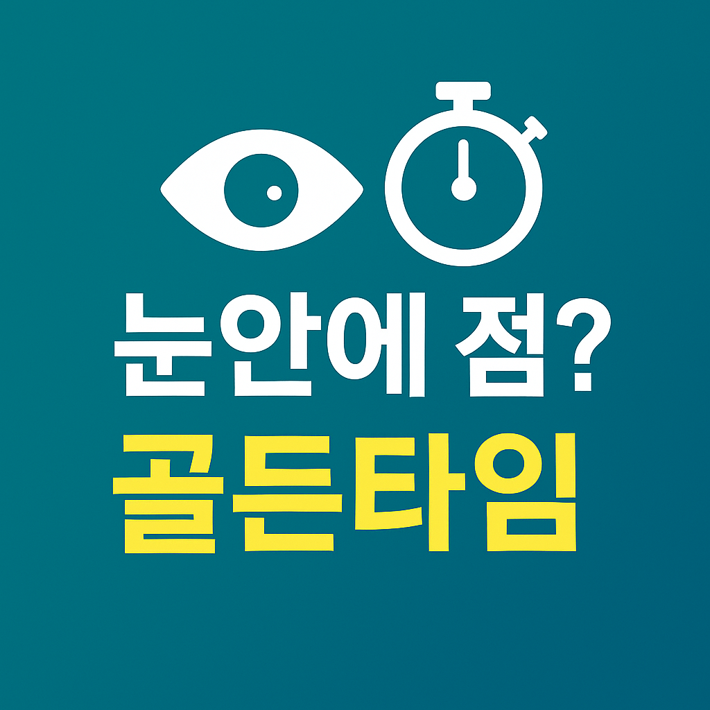 눈안에 점 이 생기는 원인과 제거방법에 대한 대표이미지