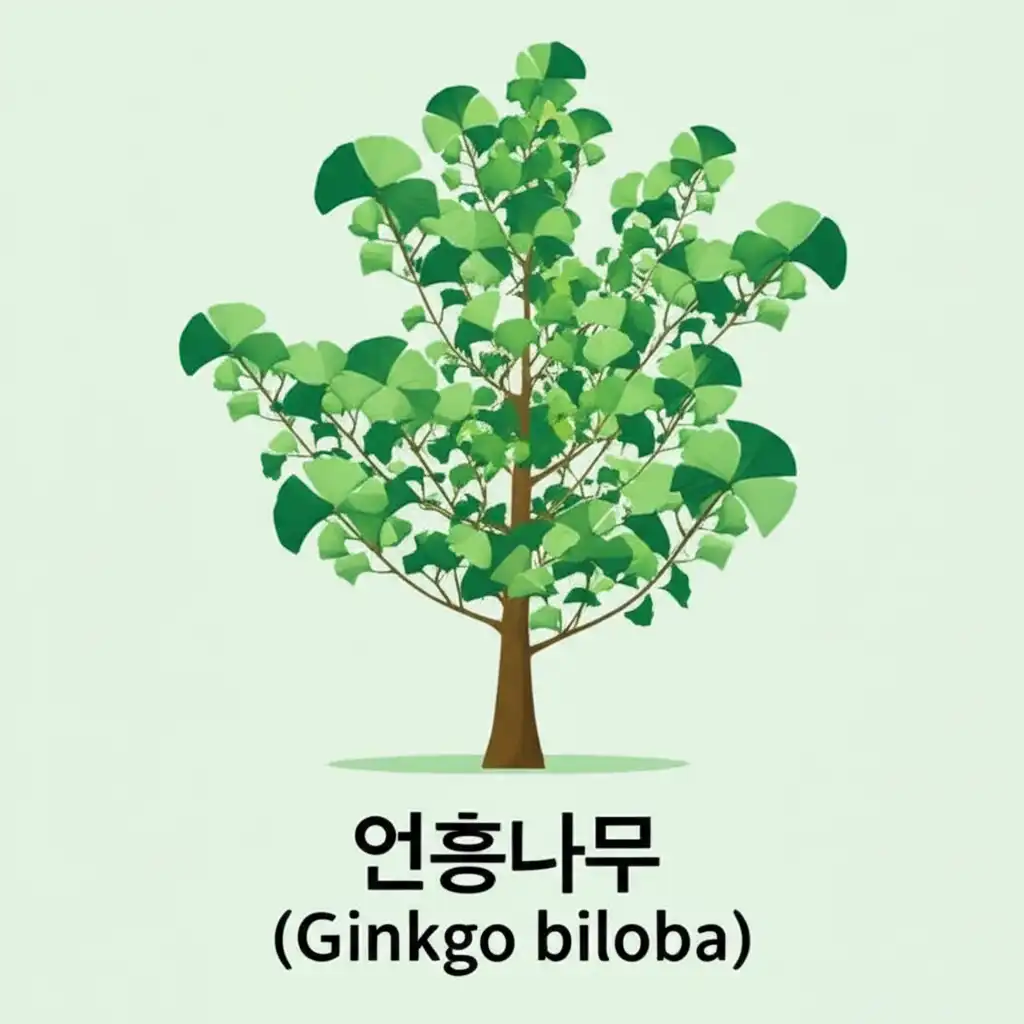 가로수종류_ginkgo