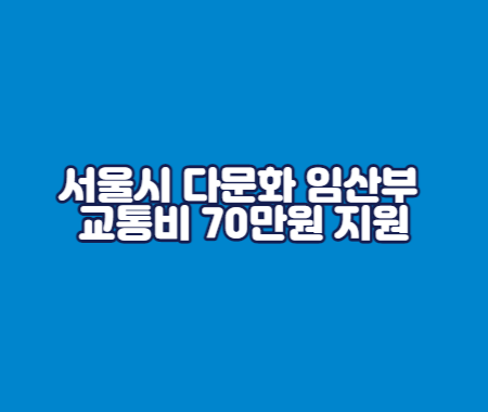서울시 다문화 임산부 교통비 70만원 지원