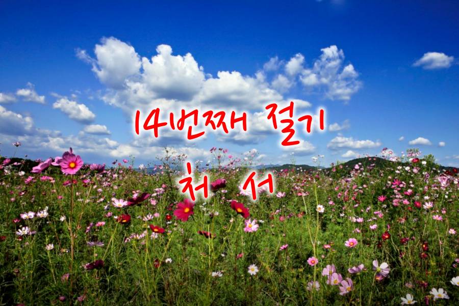 가을 절기 처서