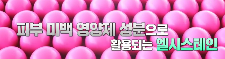 엘시스테인 효능