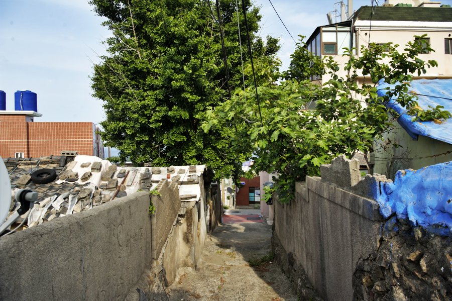 동삼1구역 재개발 지역