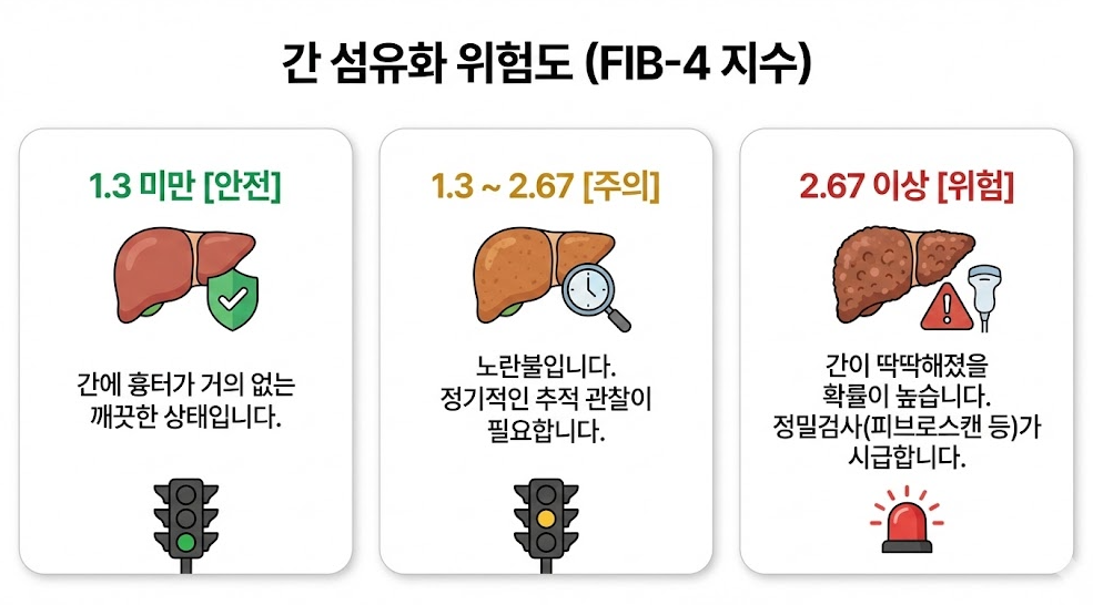 FIB-4 지수에 따른 간 섬유화 위험도 분류 이미지, 안전&middot;주의&middot;위험 3단계 표시