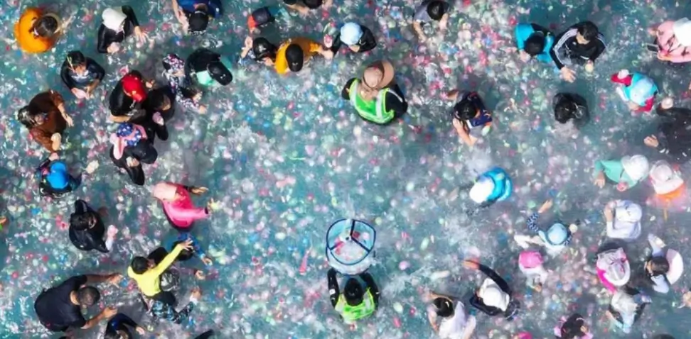 강원도 다슬기 축제