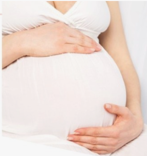 가임기간 계산기