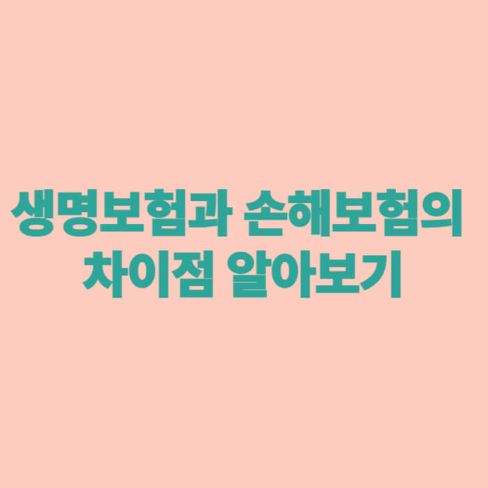 생명보험과 손해보험의 차이점 알아보기