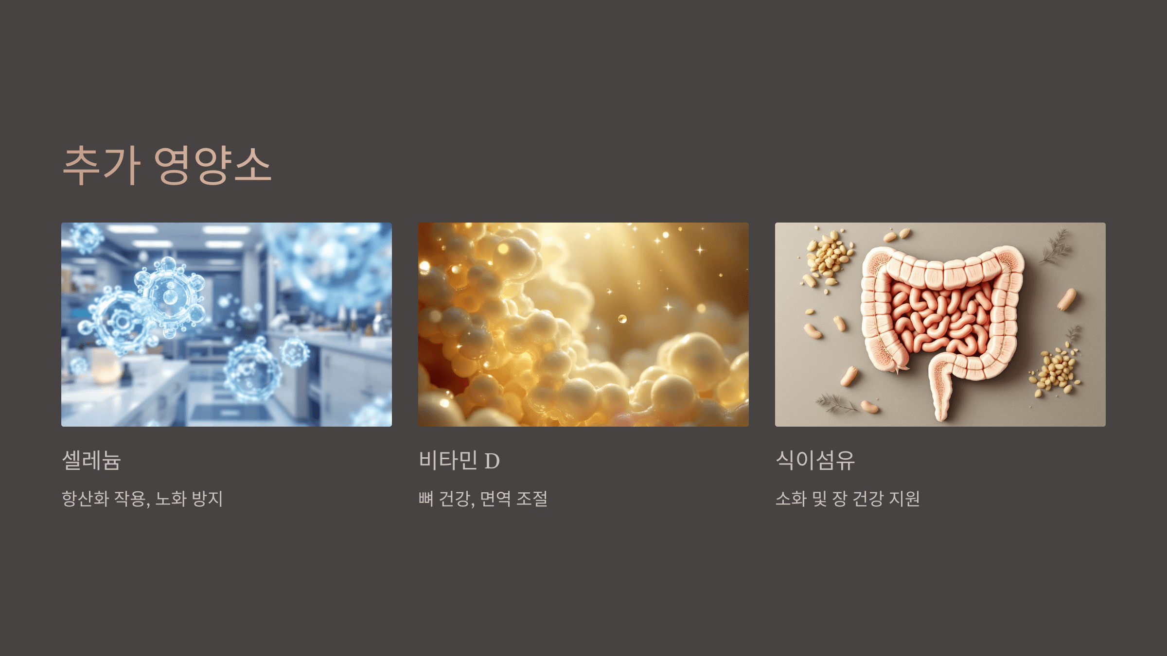 상황버섯과 관련된 사진입니다.