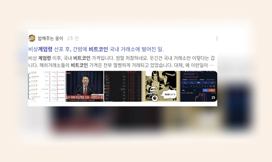 계엄령과 비트코인_3_subsection
