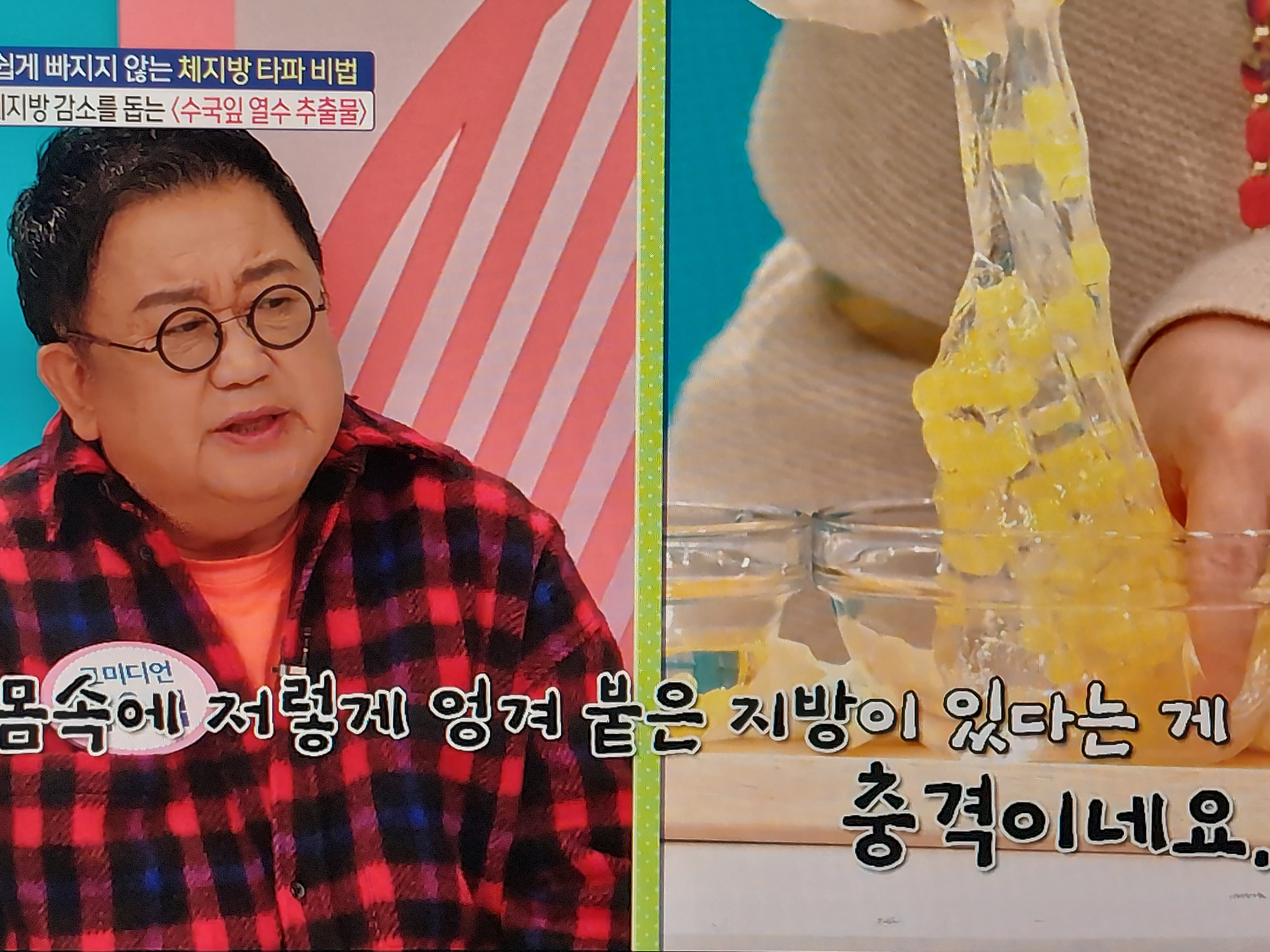 수국잎열수추출물 분말 효능