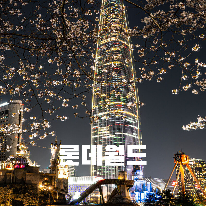 롯데월드 자유이용권