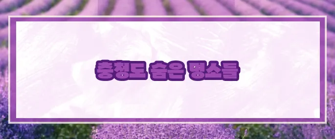 충청도 가볼만한곳 베스트10 2025 (+핵심포인트)