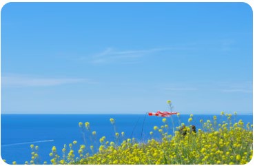 제주도 식물도감 학습의 효과와 기대 성과