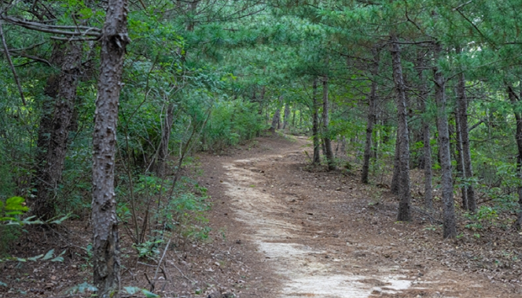 불곡산 등산코스