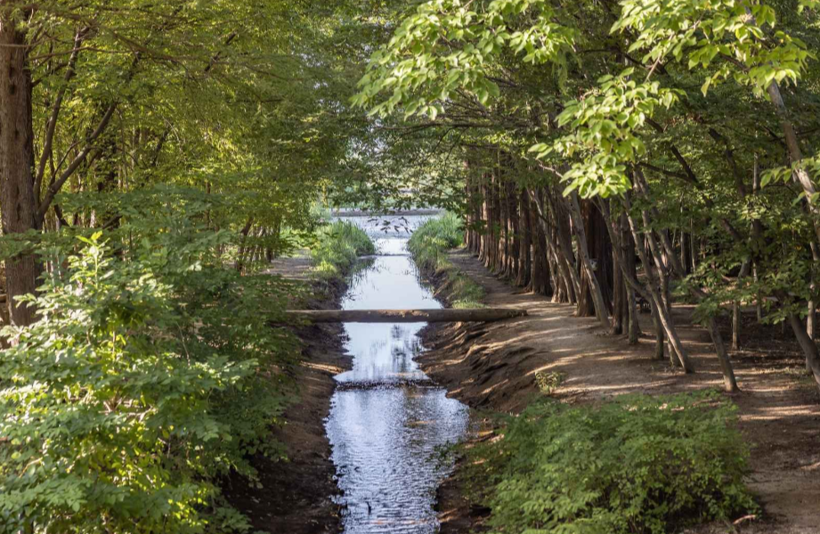 경주천년숲정원