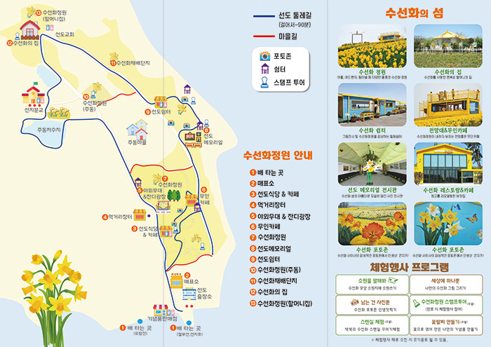신안 선도 수선화축제 일정 주차 프로그램 총정리