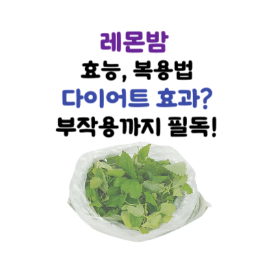 레몬밤 효능