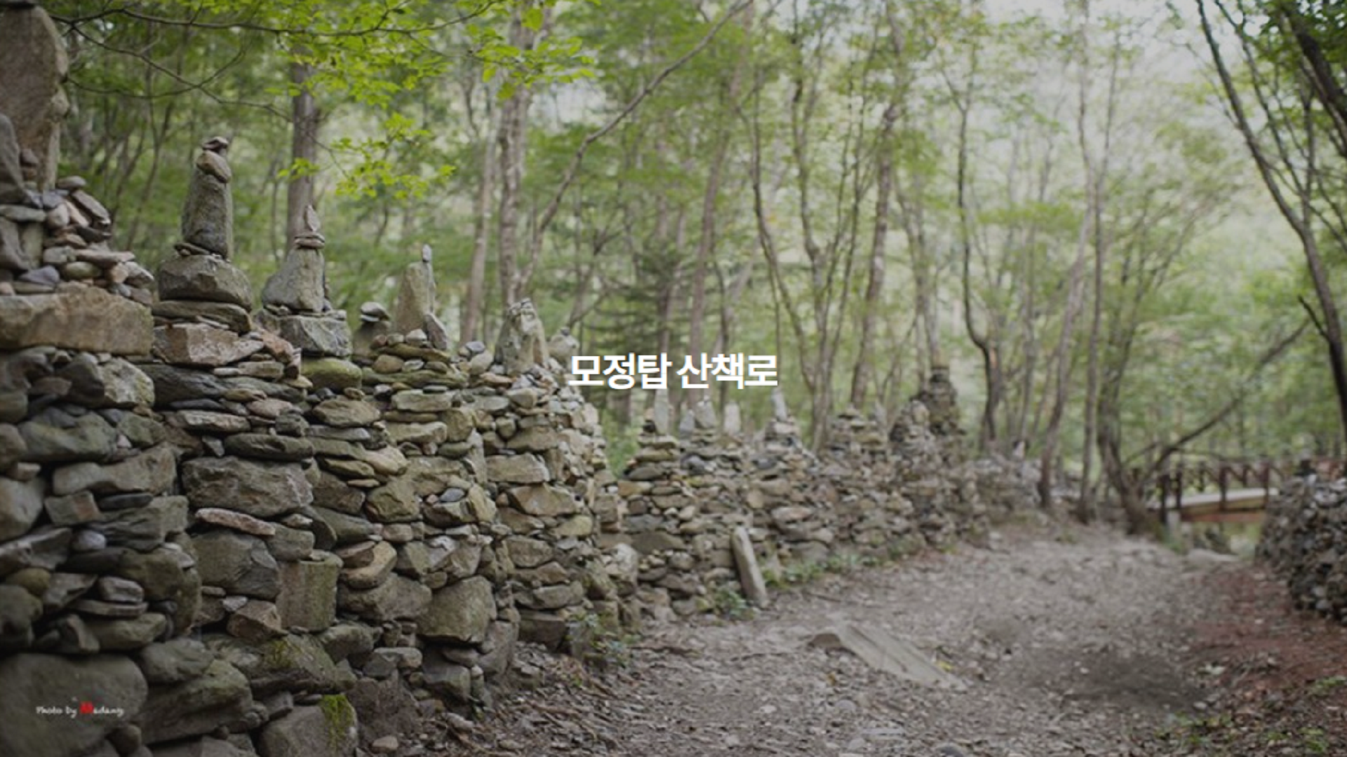 강릉 노추산 힐링 캠프 바로가기