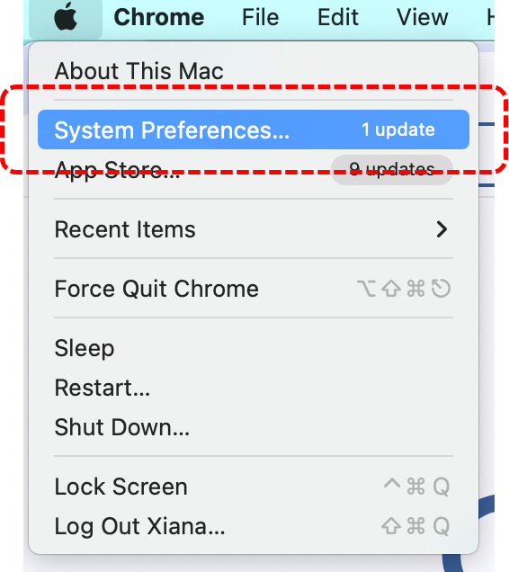 시스템 환경설정 클릭
