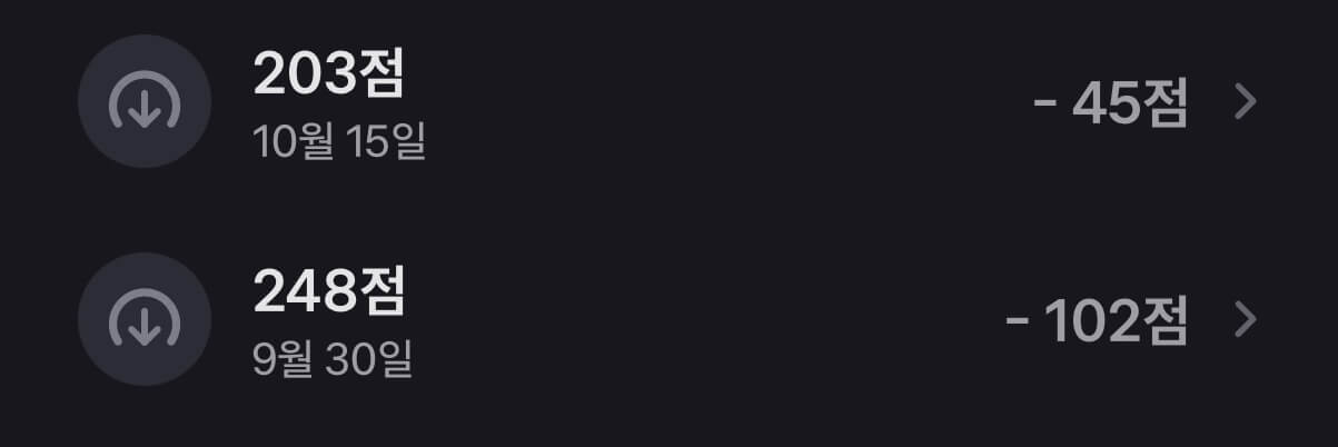 신용점수 248점에서 203점으로 하락한 실제 기록