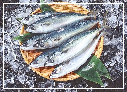 구내염에-좋은-음식