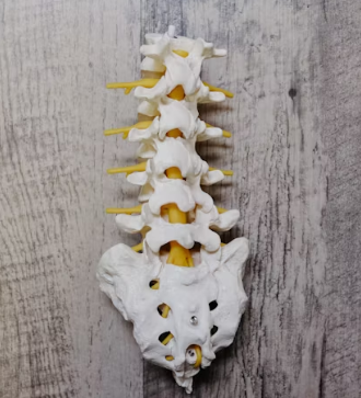 만성 요통 진단기준 치료법 합병증 관리