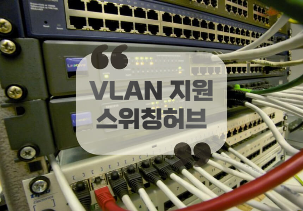 VLAN 지원하는 스위칭허브