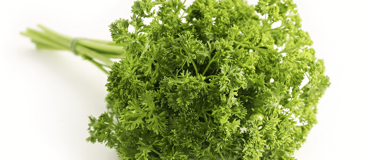 칼륨 많은 음식 사진 - 121