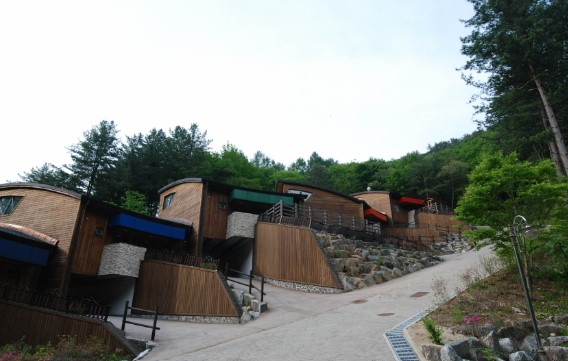 강씨봉자연휴양림 홈페이지