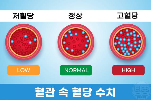 혈당 오르는 이유 혈당상승 혈당변동 저혈당 고혈당 원인