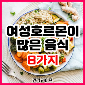 여성호르몬이 많은 음식