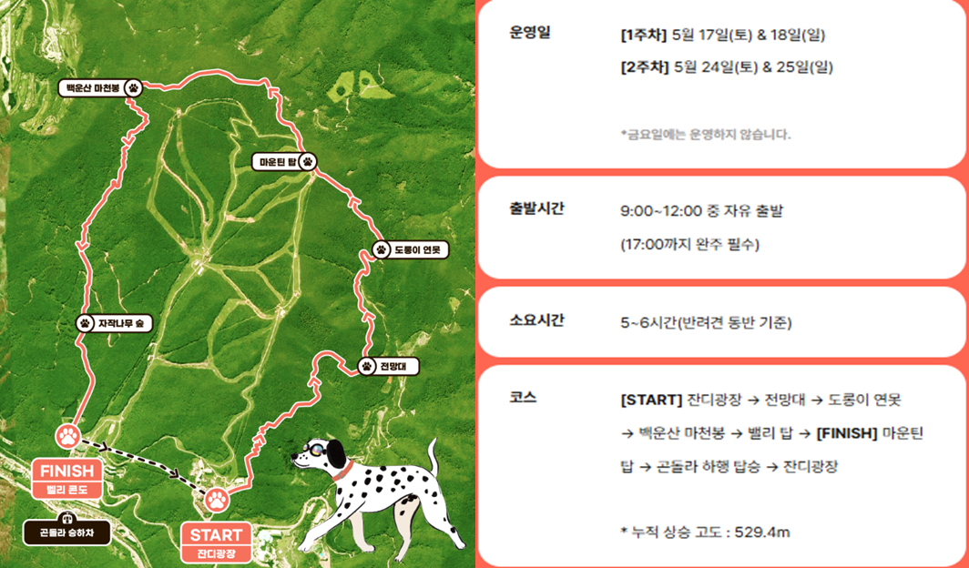 댕댕트레킹 코스 강철12kl