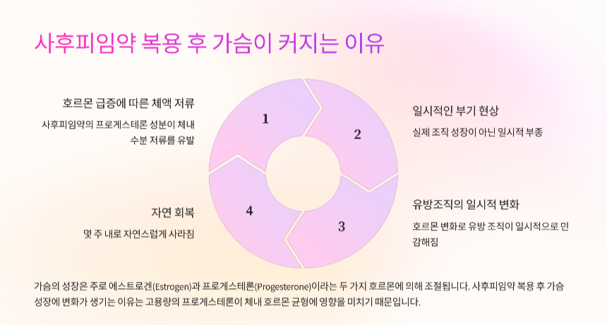 사후피임약 복용 후 가슴 성장에 미치는 영향과 대처 방법