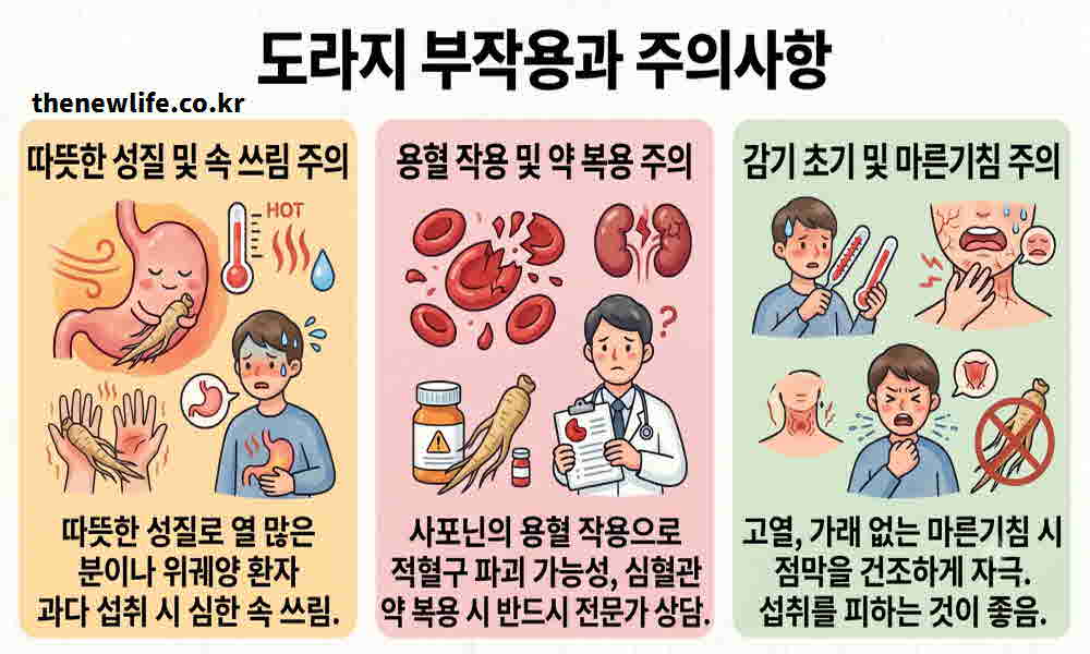 도라지 효능 부작용