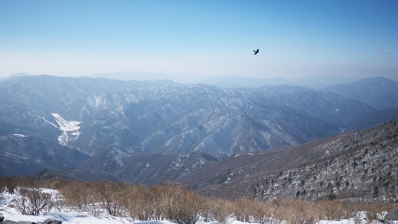 태백 가볼만한곳 추천명소