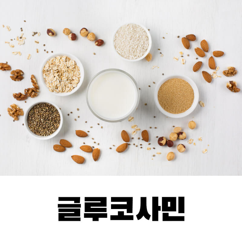 글루코사민