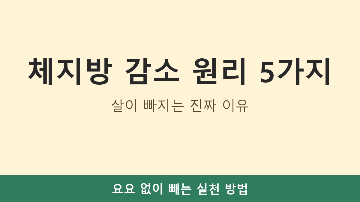 체지방 감소 원리 5가지, 살이 빠지는 진짜 이유