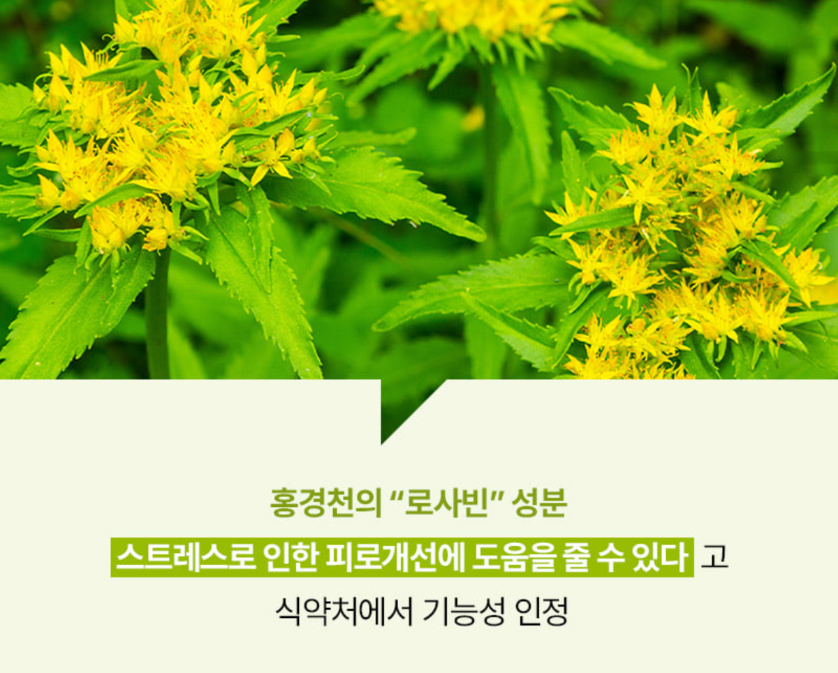콜레올로지컷 빨간통 다이어트 효과