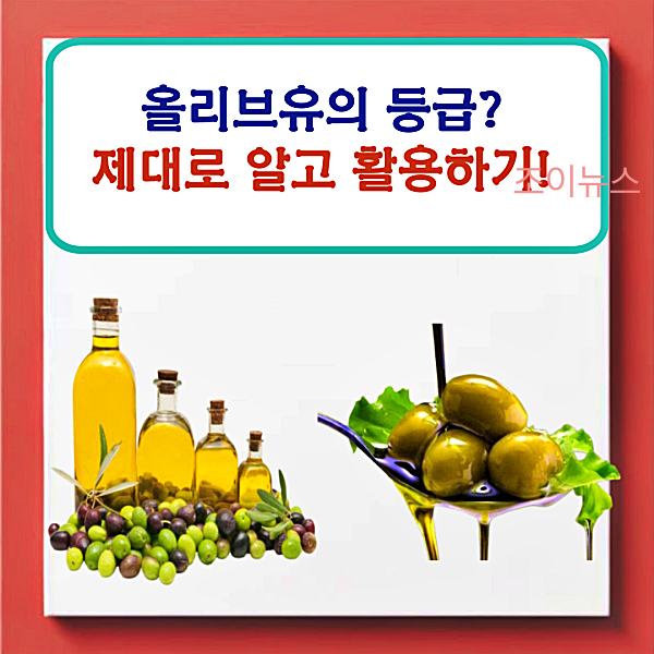 올리브유 등급에 따른 올바른 활용법을 알아보자!