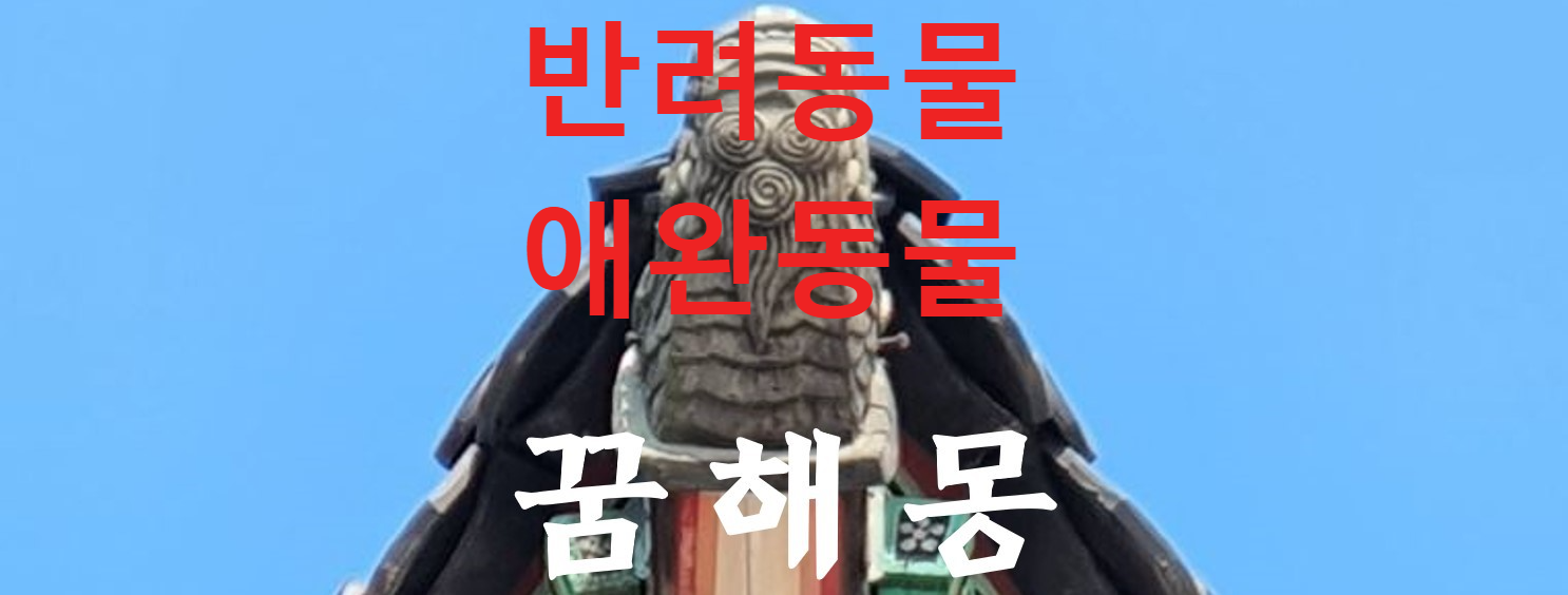 꿈해몽