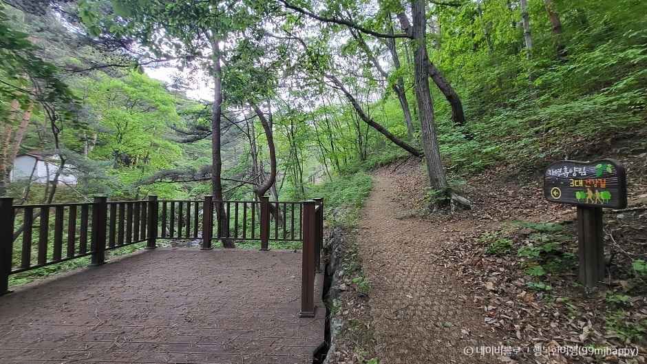 합천 가볼만한곳 베스트10