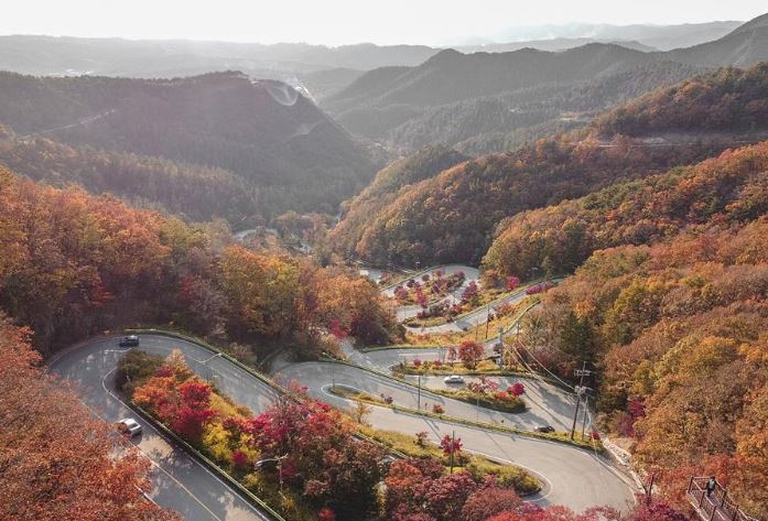 2024 단풍예측지도 지역별 단풍 절정시기 단풍명소