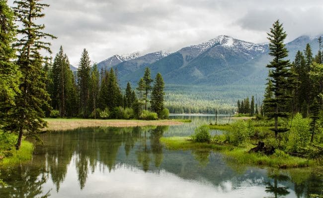 사자성어 상선약수 - 모든 생명의 근원 물