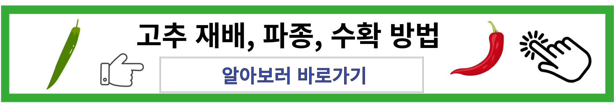 고추 재배 방법