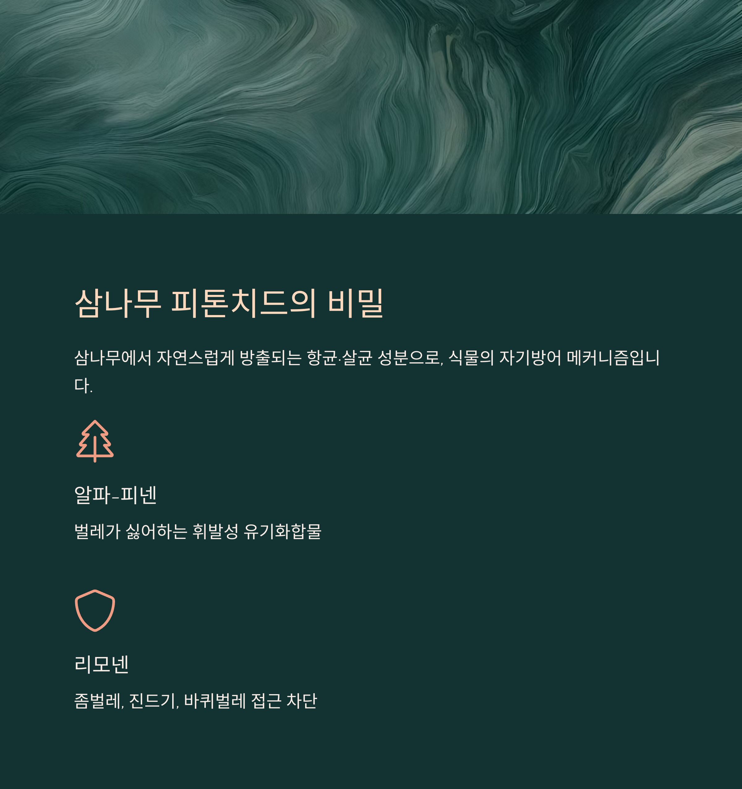 삼나무 피톤치드란 무엇인가요?