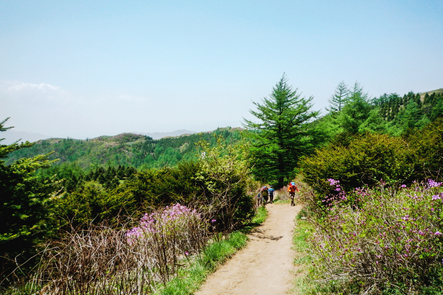 마늘로드 한국 명산 전북 남원 지리산 바래봉 등산 mountain hiking
